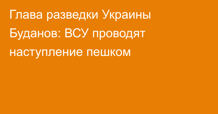 Глава разведки Украины Буданов: ВСУ проводят наступление пешком