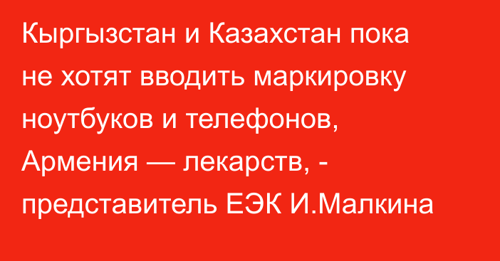 Кыргызстан и Казахстан пока не хотят вводить маркировку ноутбуков и телефонов, Армения  — лекарств, - представитель ЕЭК И.Малкина