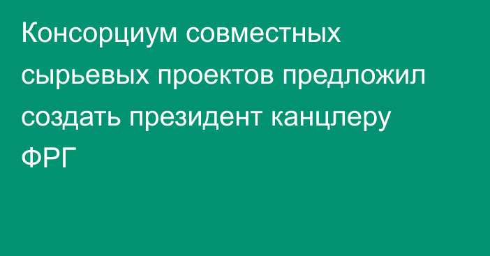 Консорциум совместных сырьевых проектов предложил создать президент канцлеру ФРГ