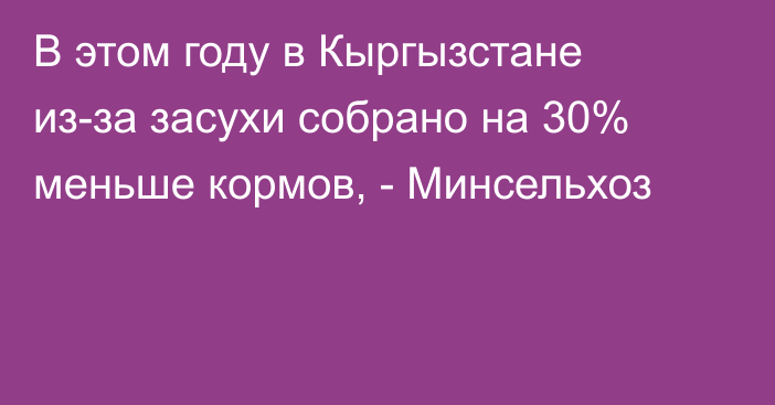 В этом году в Кыргызстане из-за засухи собрано на 30% меньше кормов, - Минсельхоз