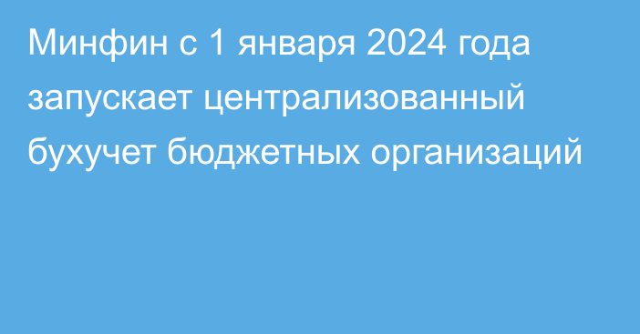 Минфин с 1 января 2024 года запускает централизованный бухучет бюджетных организаций