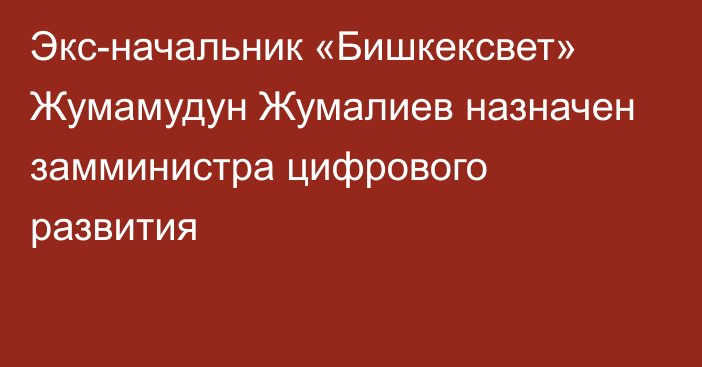 Экс-начальник «Бишкексвет» Жумамудун Жумалиев назначен замминистра цифрового развития