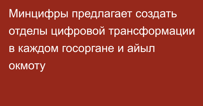 Минцифры предлагает создать отделы цифровой трансформации в каждом госоргане и айыл окмоту