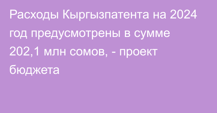 Расходы Кыргызпатента на 2024 год предусмотрены в сумме 202,1 млн сомов, - проект бюджета