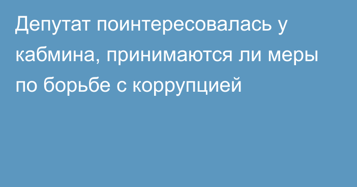 Депутат поинтересовалась у кабмина, принимаются ли меры по борьбе с коррупцией