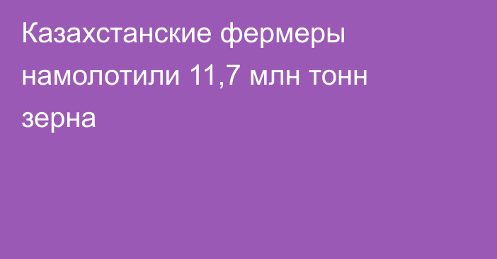 Казахстанские фермеры намолотили 11,7 млн тонн зерна