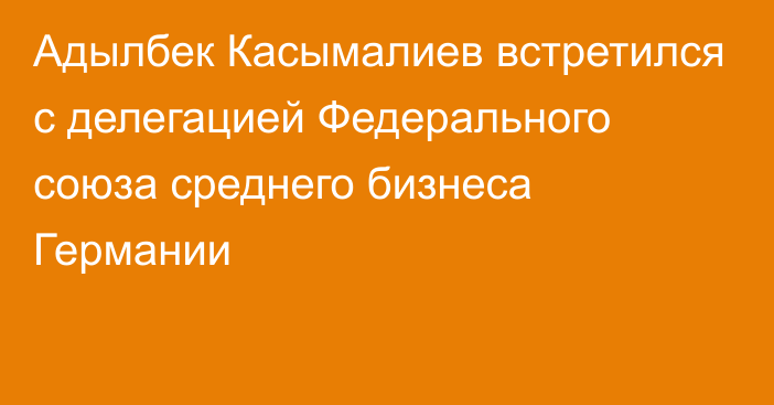 Адылбек Касымалиев встретился с делегацией Федерального союза среднего бизнеса Германии