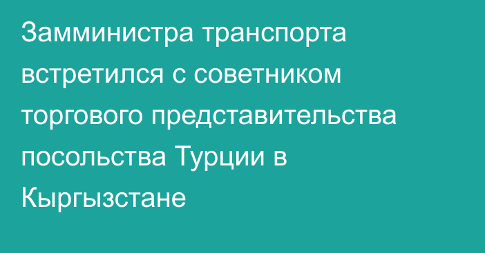 Замминистра транспорта встретился с советником торгового представительства посольства Турции в Кыргызстане