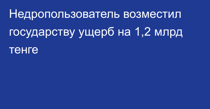 Недропользователь возместил государству ущерб на 1,2 млрд тенге