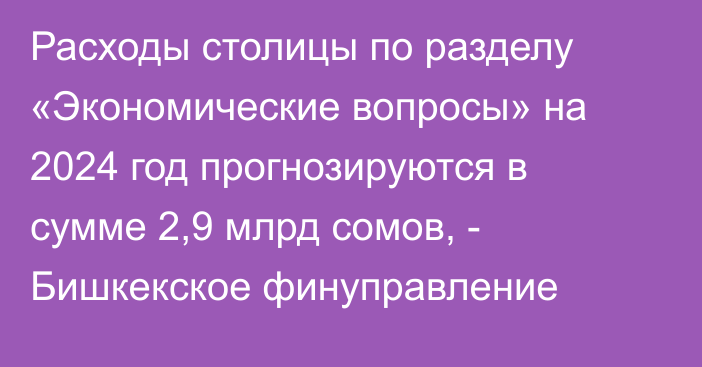 Расходы столицы по разделу «Экономические вопросы» на 2024 год прогнозируются в сумме 2,9 млрд сомов, - Бишкекское финуправление