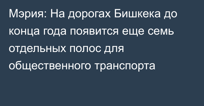 Мэрия: На дорогах Бишкека до конца года появится еще семь отдельных полос для общественного транспорта