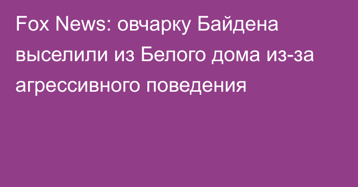 Fox News: овчарку Байдена выселили из Белого дома из-за агрессивного поведения