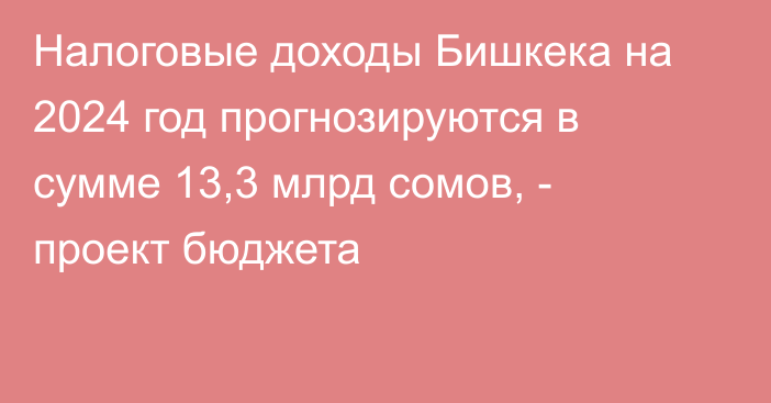 Налоговые доходы Бишкека на 2024 год прогнозируются в сумме 13,3 млрд сомов, - проект бюджета