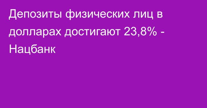 Депозиты физических лиц в долларах достигают 23,8% - Нацбанк