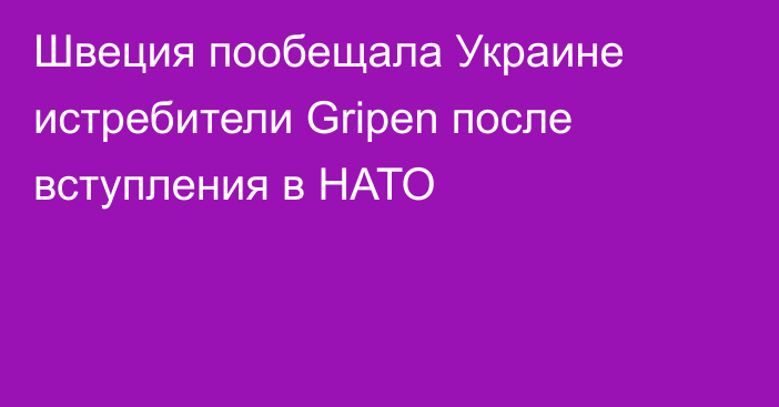 Швеция пообещала Украине истребители Gripen после вступления в НАТО