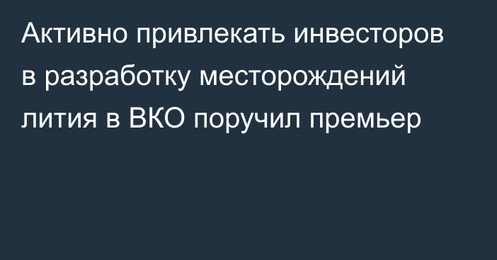 Активно привлекать инвесторов в разработку месторождений лития в ВКО поручил премьер