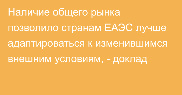 Наличие общего рынка позволило странам ЕАЭС лучше адаптироваться к изменившимся внешним условиям, - доклад