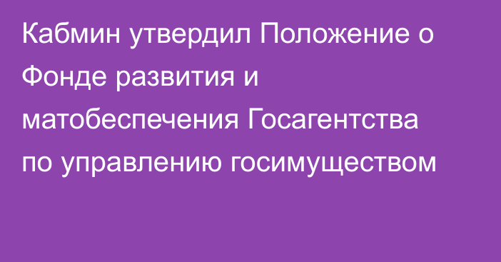 Кабмин утвердил Положение о Фонде развития и матобеспечения Госагентства по управлению госимуществом