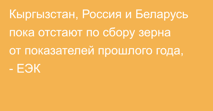 Кыргызстан, Россия и Беларусь пока отстают по сбору зерна от показателей прошлого года, - ЕЭК