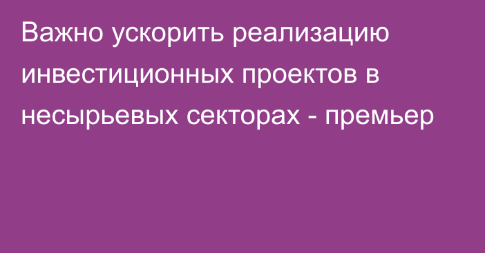 Важно ускорить реализацию инвестиционных проектов в несырьевых секторах - премьер