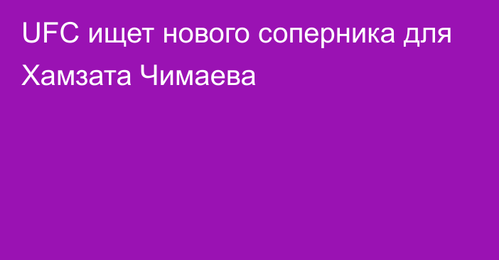 UFC ищет нового соперника для Хамзата Чимаева