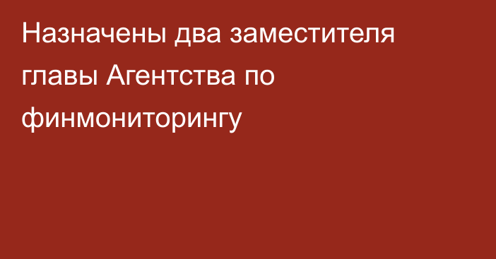 Назначены два заместителя главы Агентства по финмониторингу