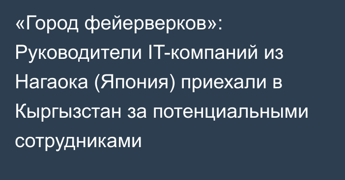 «Город фейерверков»: Руководители IT-компаний из Нагаока (Япония) приехали в Кыргызстан за потенциальными сотрудниками