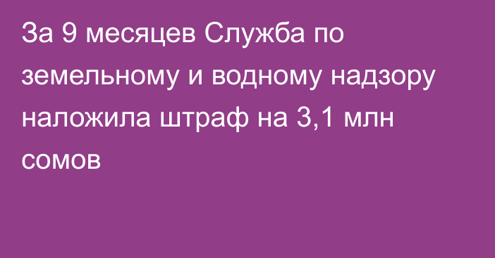 За 9 месяцев Служба по земельному и водному надзору наложила штраф на 3,1 млн сомов