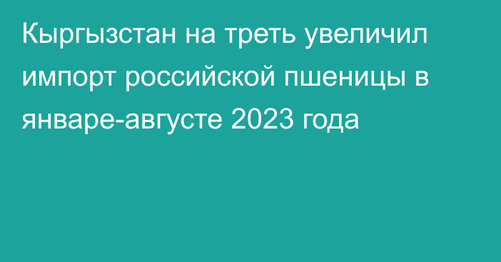 Кыргызстан на треть увеличил импорт российской пшеницы в январе-августе 2023 года