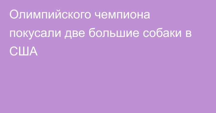 Олимпийского чемпиона покусали две большие собаки в США