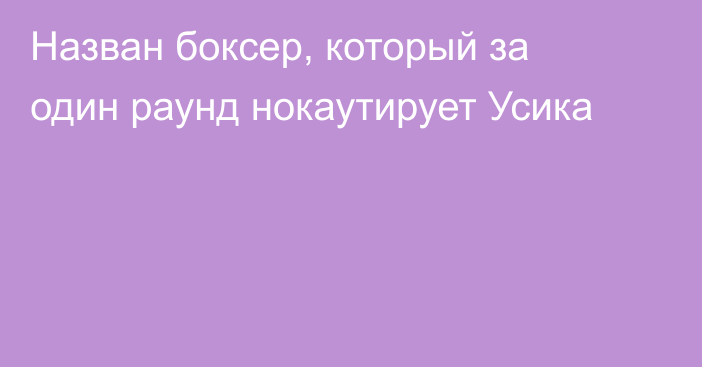 Назван боксер, который за один раунд нокаутирует Усика