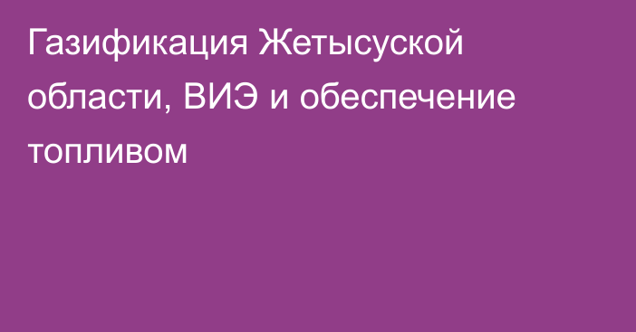 Газификация Жетысуской области, ВИЭ и обеспечение топливом