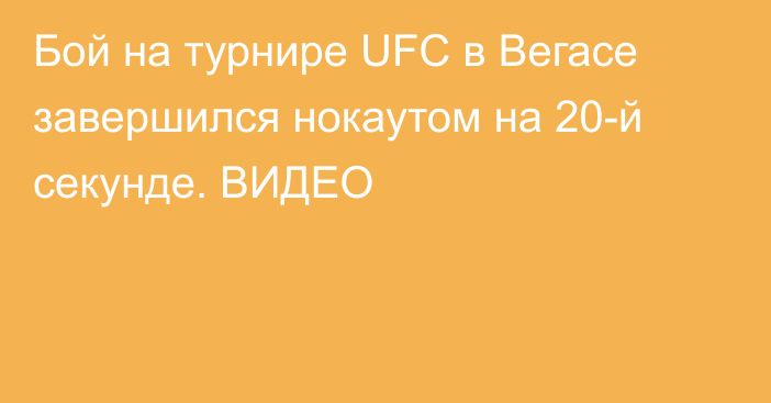 Бой на турнире UFC в Вегасе завершился нокаутом на 20-й секунде. ВИДЕО