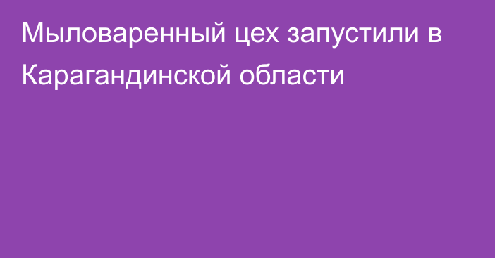 Мыловаренный цех запустили в Карагандинской области