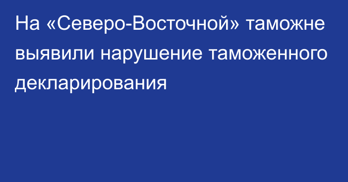 На «Северо-Восточной» таможне выявили нарушение таможенного декларирования