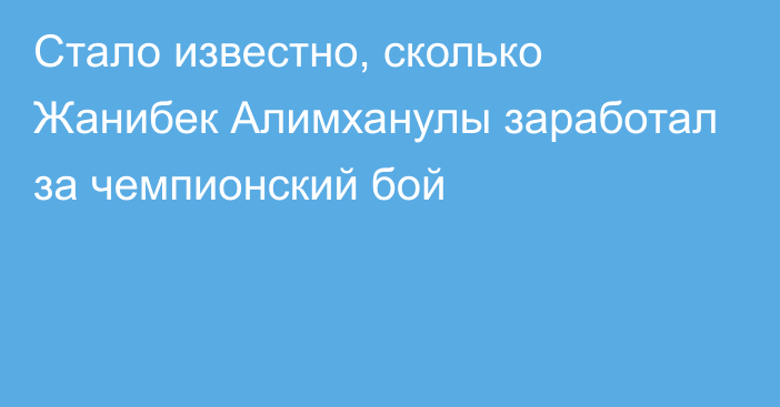 Стало известно, сколько Жанибек Алимханулы заработал за чемпионский бой