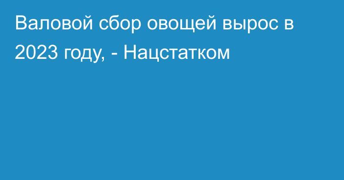 Валовой сбор овощей вырос в 2023 году, - Нацстатком