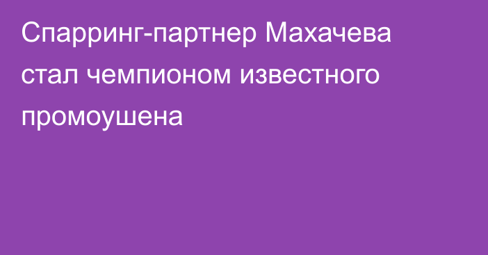 Спарринг-партнер Махачева стал чемпионом известного промоушена