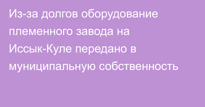 Из-за долгов оборудование племенного завода на Иссык-Куле передано в муниципальную собственность