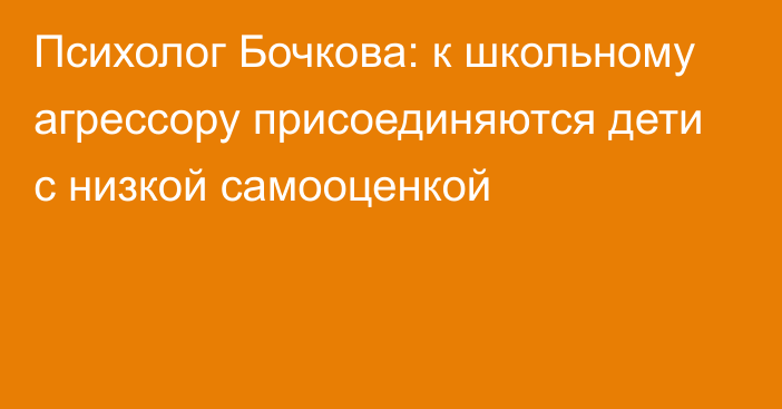 Психолог Бочкова: к школьному агрессору присоединяются дети с низкой самооценкой