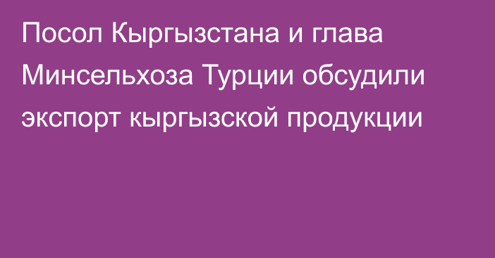 Посол Кыргызстана и глава Минсельхоза Турции обсудили экспорт кыргызской продукции