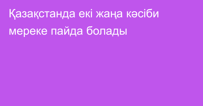 Қазақстанда екі жаңа кәсіби мереке пайда болады