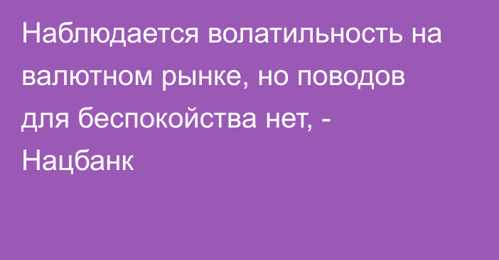 Наблюдается волатильность на валютном рынке, но поводов для беспокойства нет, - Нацбанк