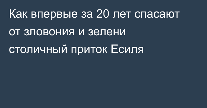 Как впервые за 20 лет спасают от зловония и зелени столичный приток Есиля