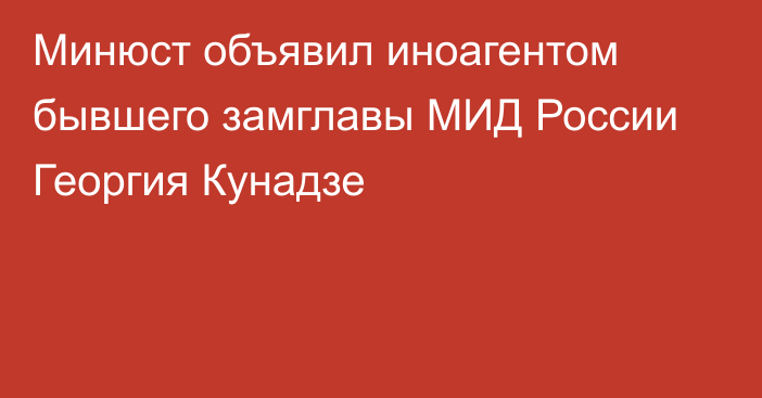 Минюст объявил иноагентом бывшего замглавы МИД России Георгия Кунадзе