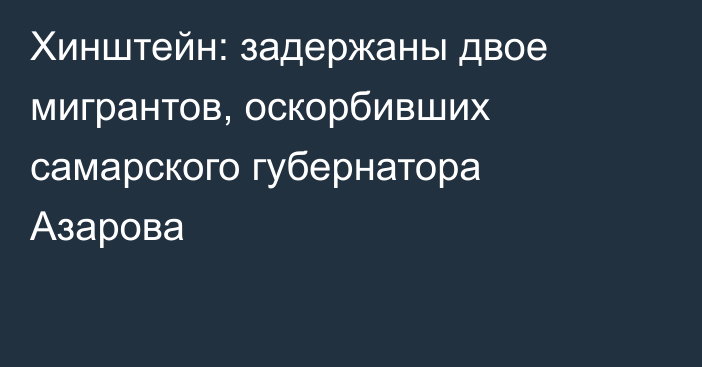 Хинштейн: задержаны двое мигрантов, оскорбивших самарского губернатора Азарова