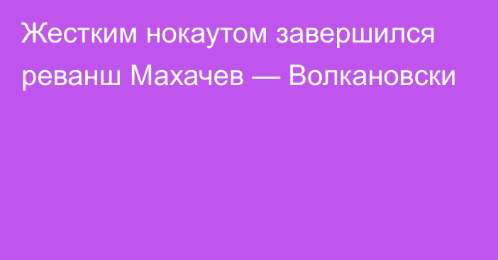 Жестким нокаутом завершился реванш Махачев — Волкановски