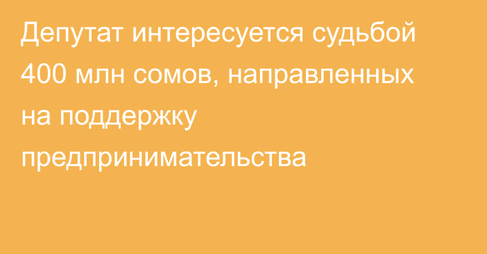 Депутат интересуется судьбой 400 млн сомов, направленных на поддержку предпринимательства