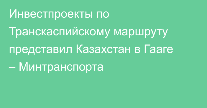 Инвестпроекты по Транскаспийскому маршруту представил Казахстан в Гааге – Минтранспорта