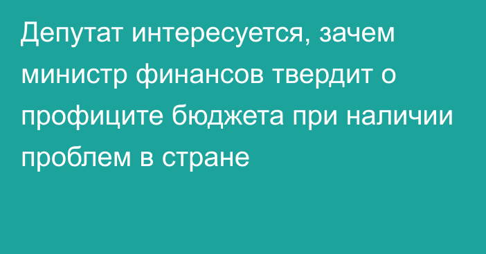 Депутат интересуется, зачем министр финансов твердит о профиците бюджета при наличии проблем в стране